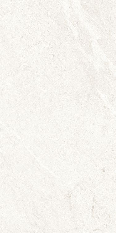 Dhara White Matte 12 x 24